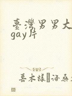 台湾男男大尺度gay片封面