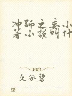 冲师之妄小说原著小说叫什么名字封面