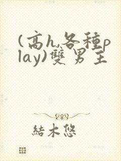 (高h,各种play)双男主封面