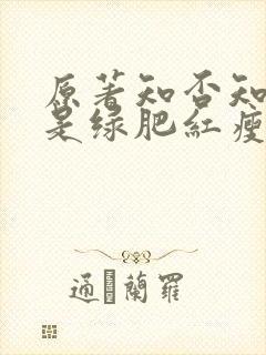 原著知否知否应是绿肥红瘦封面
