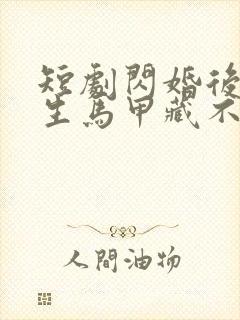 短剧闪婚后傅先生马甲藏不住了免费观看