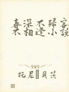 春深不归客清梦不相逢小说免费阅读