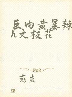 巨肉黄暴辣文高h文校花