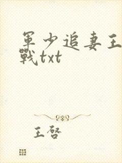 军少追妻王牌特战txt封面