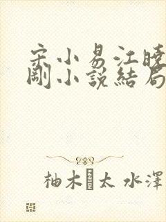 宋小易江晓萍吴刚小说结局封面