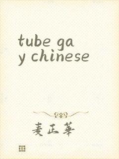 tube gay chinese