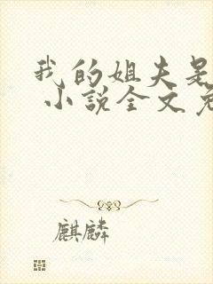 我的姐夫是太子 小说全文免费阅读