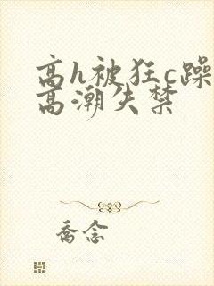 高h被狂c躁到高潮失禁封面