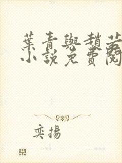 叶青与赵若宁的小说免费阅读