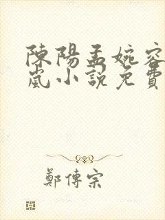 陈阳孟婉容江玉岚小说免费阅读
