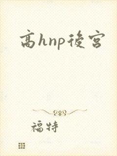 高hnp后宫