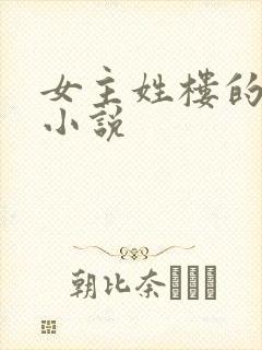 女主姓楼的穿越小说
