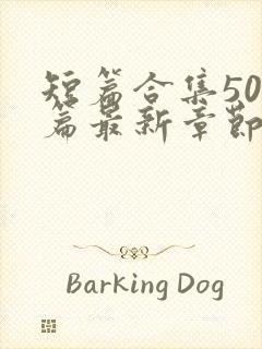 短篇合集500篇最新章节笔趣阁免费阅读