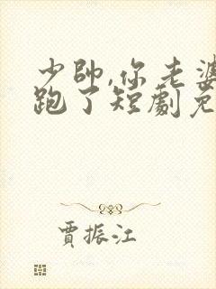 少帅,你老婆又跑了短剧免费大结局封面