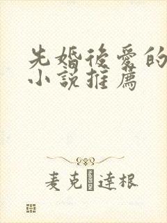 先婚后爱的现言小说推荐