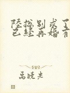 陆总别求了夫人已经再婚有娃了短剧免费观看