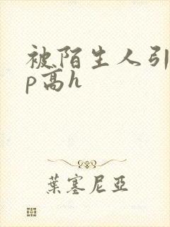 被陌生人引诱np高h封面