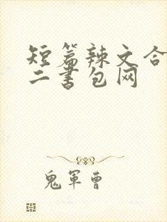 短篇辣文合集第二书包网封面