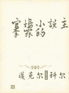 官场小说主角叫李霖的