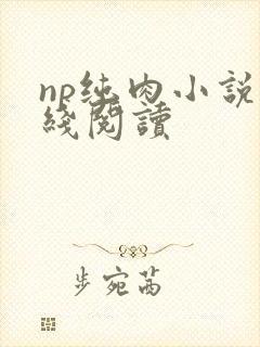 np纯肉小说在线阅读