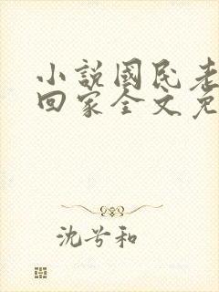 小说国民老公带回家全文免费阅读封面
