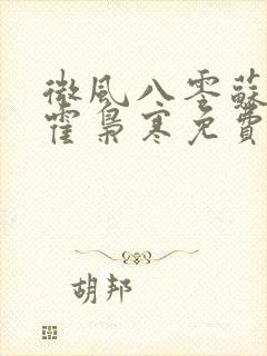 微风八零苏婉,霍枭寒免费阅读封面