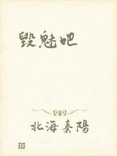 毁魅吧