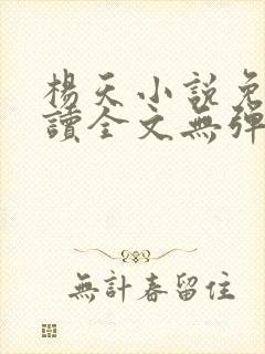 杨天小说免费阅读全文无弹窗