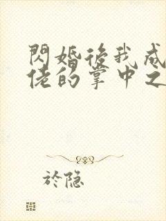 闪婚后我成了大佬的掌中之物未删减封面