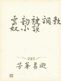 云韵被调教成肉奴小说