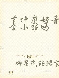 有什么好看的百合小说吗