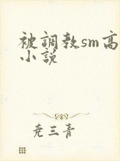被调教sm高h小说