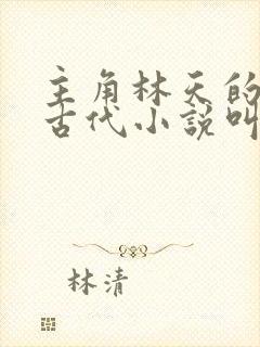 主角林天的穿越古代小说叫什么封面