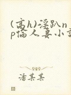 (高h)淫趴np伦人妻小说