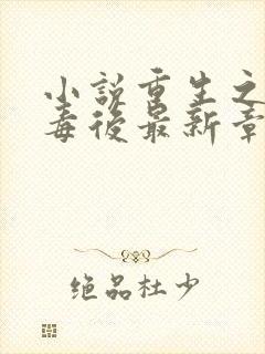 小说重生之将门毒后最新章节列表最
