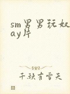 sm男男玩奴gay片封面