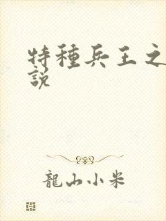 特种兵王之王小说