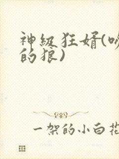 神级狂婿(吻天的狼)