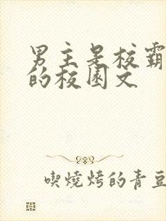 男主是校霸痞帅的校园文