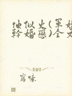 他似火(军婚高干婚恋)全文笔趣阁封面