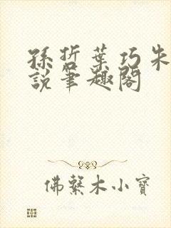 孙哲叶巧朱颜小说笔趣阁