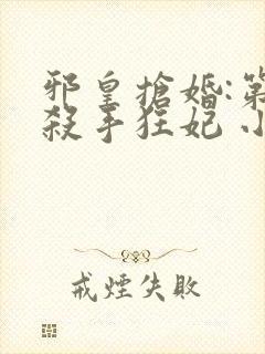 邪皇抢婚:第一杀手狂妃 小说