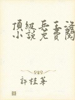 顶级兵王洛云霄小说免费阅读