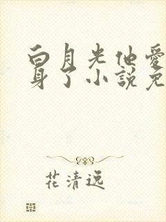 白月光他爱上替身了小说免费阅读