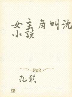 女主角叫沈柔的小说