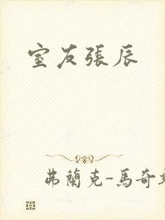 室友张辰