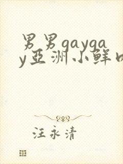 男男gaygay亚洲小鲜肉网站
