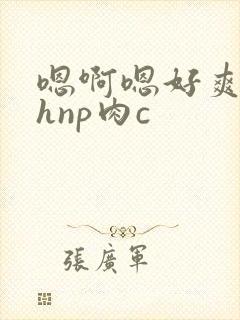 嗯啊嗯好爽啊高hnp肉c
