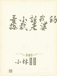 看小说我的冷艳总裁老婆