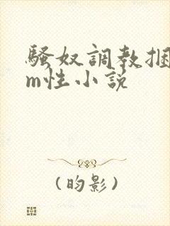 骚奴调教捆绑sm性小说封面